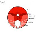 [서울여행] 맛을 찾아서 참치와 랍스터........43 이미지