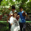 피서농장 이미지