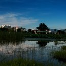 죽동체육공원 이미지