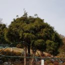 예천스타디움 경기장 | 용인 비구니 사찰 화운사 둘러보니..