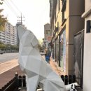 이룸외과동물병원 이미지