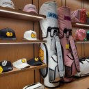 Young players breathe new life into golf 젊은이들이 골프로 새로운 삶을 산다 이미지