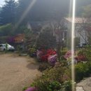 산장러브스토리