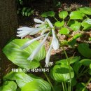 좌동산책길 이미지