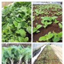 우리들 밥상 이미지