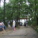 크린데이 이미지