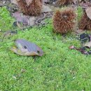 건강마당공원 이미지