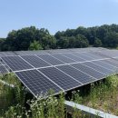 태양처럼 이미지