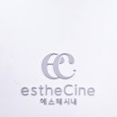 에스테시내