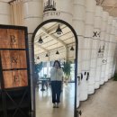 파티오6747 이미지