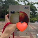 퀘스천마케팅 | 혼모노 완독후기, 넷플릭스 의문의 1패 킹받은후기_줄거리 스포 일부 포함