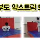 쌍용태권도 이미지