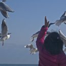 겨울바다 이미지