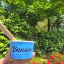 The 건강한 재미있는 영양 이야기 | 벤슨 아이스크림 내돈내산 후기 비싼만큼 맛있을까