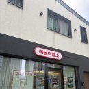 서면동일파크스위트3차경로당 | [부산]서면 고양이 무마취미용 잘하는 곳 "애옹이발소" 내돈내산 리얼 후기 (유기묘 입양썰)
