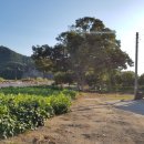 미천시장 이미지