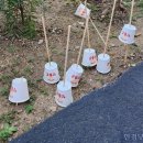 탕후루와꼬치 이미지