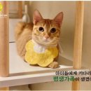 손손 이미지
