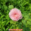 뚝섬한강공원-34 이미지