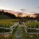 둘레길관광농원 이미지