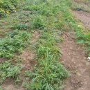 (주)벽제 이미지