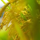 진안농업기술센터에서-250916 이미지