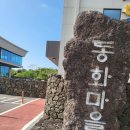 [제주/구좌] 송당 동화마을 방문 후기: 기차 이용 정보 및 마트 쇼핑 팁