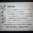 쿠마네코