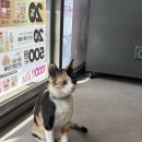 장순농장 이미지