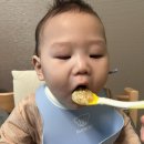 스팀푸드 | 후기이유식 고민 끝! 9개월 아기 푸드케어 클레 솔직후기(꿀팁, 스케쥴 포함)