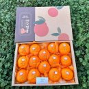 샘농원 | 제주감귤 레드향 설선물세트 제주특산품 귤샘농원 후기