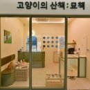 고양이의 산책:묘책 이미지