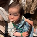 다이닝동 | 제주 신화월드 랜딩다이닝 뷔페 후기 | 생참치 스페셜 디너 '어부와 바다' 솔직 리뷰