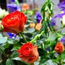 송현 농장 이미지