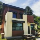 산수유자연휴양림 | 전자휴 산수유 자연휴양림