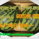 과일의모든것
