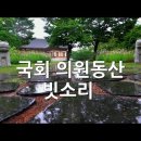 국회 의원동산에 소나기 내립니다 이미지