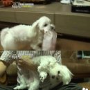 로또농장 엑스포츠뉴스