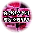 영농조합법인 나물천지 | 수타사 맛집 동생과 입안에서 살살 녹는 한우꽃갈비에 반한 홍천한우수라