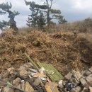 안성리-11 이미지