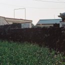 예래동-7 이미지