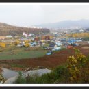 신천1리 이미지