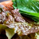 산애들애 이미지