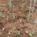 김무진의원 이미지