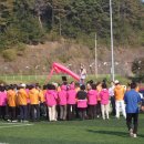 부림초등학교 이미지