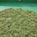 금무리농장 이미지