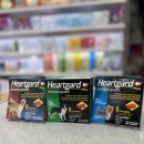 진주플러스 약국 이미지