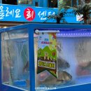 사당2동 주민센터 | 사당 이수 축제 2024 사이동행페스타 정보, 후기