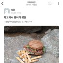 햄버거 이미지