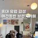 뽀끼샵 | 서울애견동반식당 홍대 브런치 코티지블루 주택개조카페